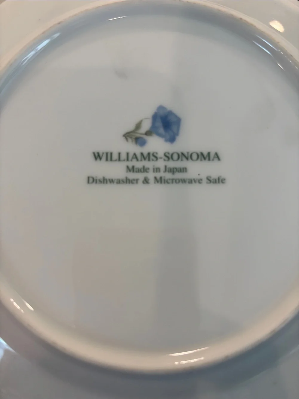 Williams Sonoma Summer Studies Salad Plates Set of 6 Morning Glory Botanical Mad